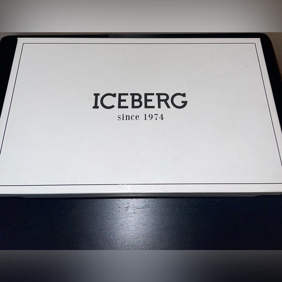 Iceberg Slides - Picture 5 of 6